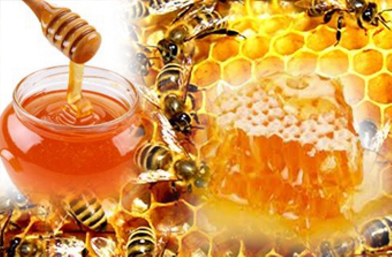 Segudang Manfaat Madu bagi Kesehatan, dr Zaidul Akbar Bagikan Resep Madu untuk Tubuh