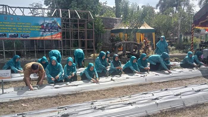 Tekan Lanju Inflasi, TP PKK HSS Pimpin Tanam 300 Bibit Cabai Serentak di Kebun PKK