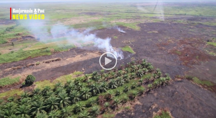 newsvideo-kebakaran-lahan-di-wilayah-tapin-dan-tanahlaut-dilihat-dari-udara.jpg