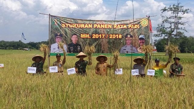 panen-raya-di-lahan-seluas-11272-hektare_20180312_193316.jpg