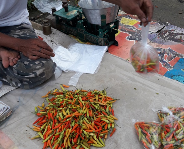pedagang-cabai-di-pasar-baru-keraton-rantau-kabupaten-tapin_20170210_175304.jpg
