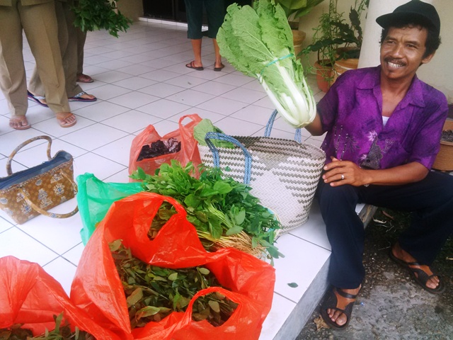 Petani Palangkaraya Senang Matahari Sinari Kembali Tanaman