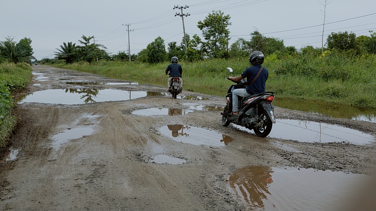 Jalan Angkutan Sawit Kotim Rusak, Tak Hanya Supir Truk, Warga Sekitar pun Memilih Jalan Memutar