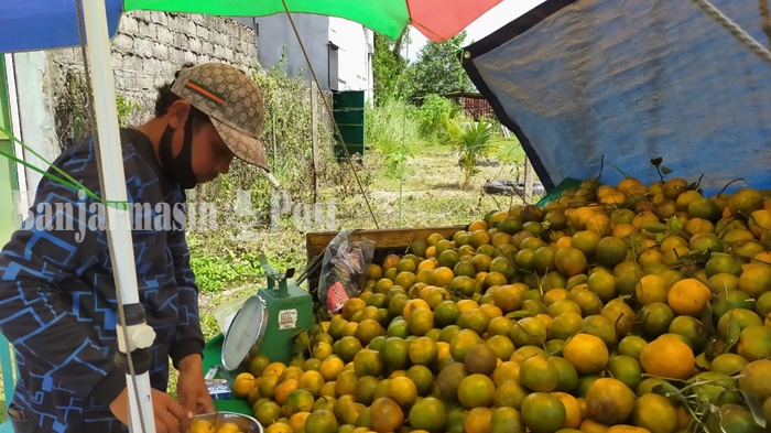 penjual-jeruk-lokal-di-jalan-trikora-banjarbaru-kalsel-rabu-1282020.jpg