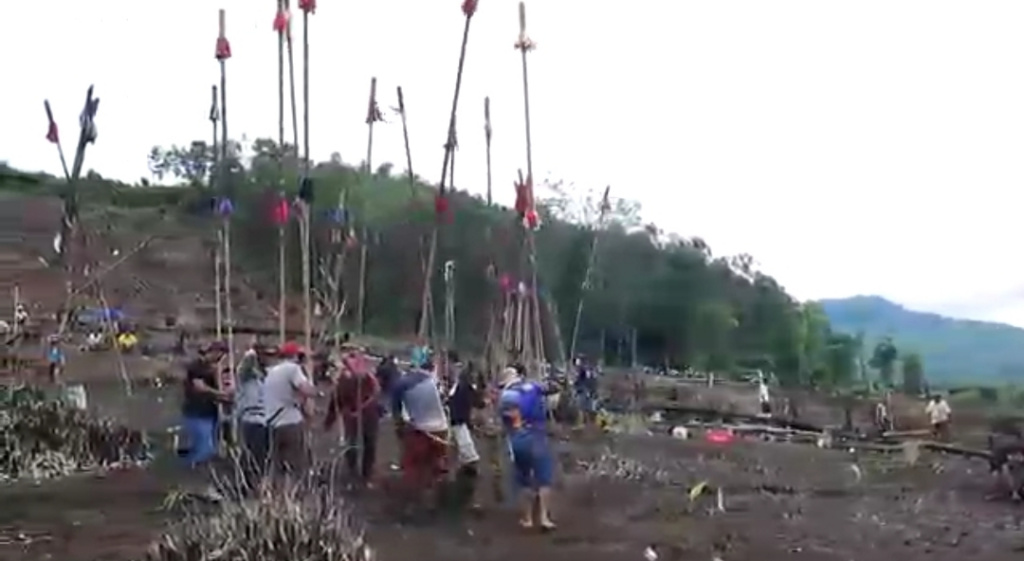 Tradisi Unik Turun Temurun Masyarakat Adat Dayak di Desa Pipitak Jaya Tapin Menanam Padi