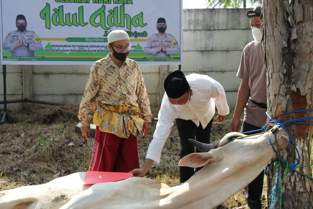 Alasan Hewan Kurban Tak Boleh Buta Diungkap Ustadz Abdul Somad, Simak Keutamaan Orang yang Berkurban