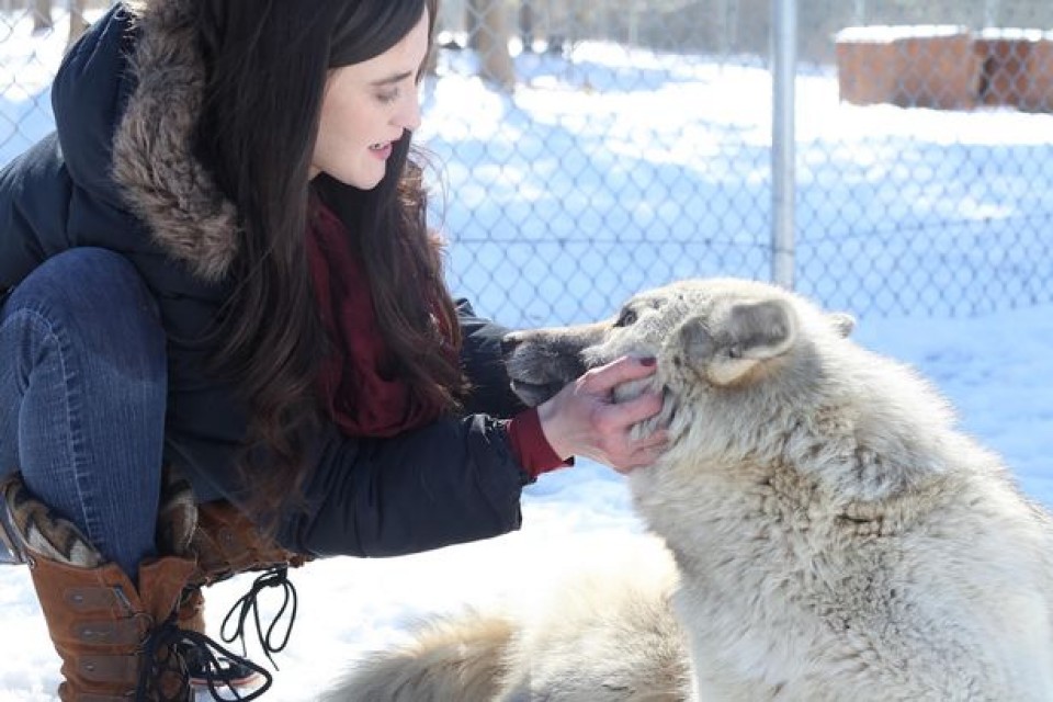 Terapi Serigala Membantu Gadis Ini Sembuhkan Anoreksia yang Diidapnya