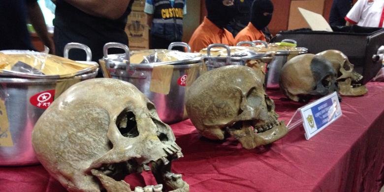 Di Pasar Gelap Internasional, Harga Tengkorak Indonesia Bernilai Tinggi
