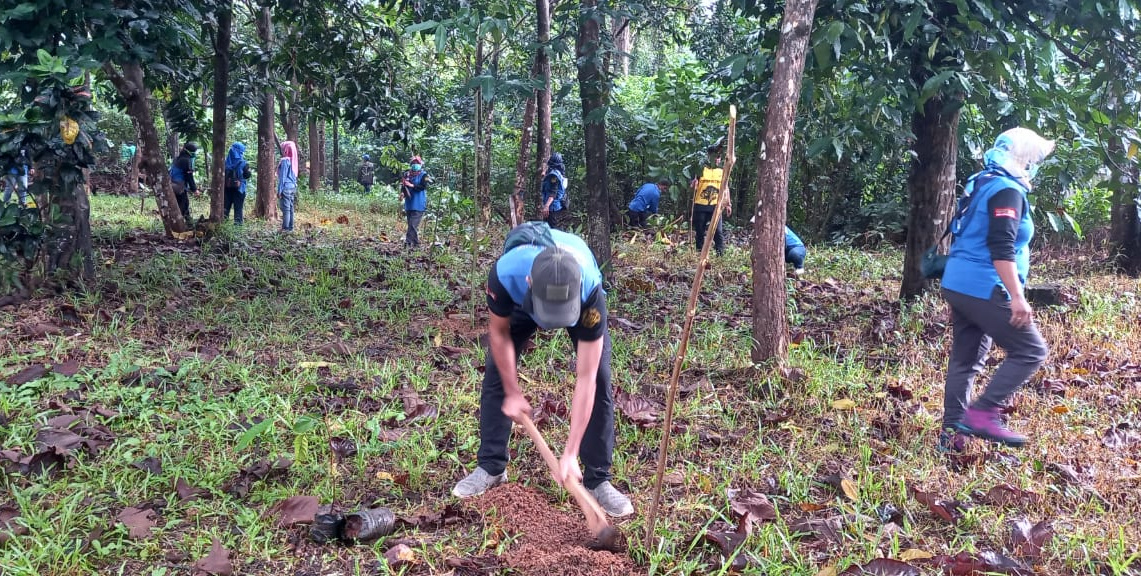 suasana-penanaman-lanjutan-bibiit-ulin-di-hutan-jati-di-belakang-kantor-setda-tala.jpg