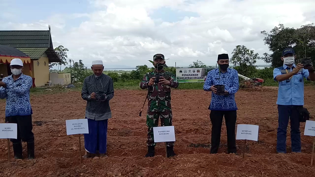 tanam-bibit-jahe-merah-organik-di-lahan-ponpes-al-muslimun-kotabaru.jpg