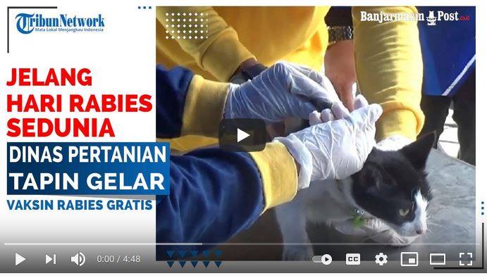 vaksinasi-rabies-gratis-di-tapin.jpg