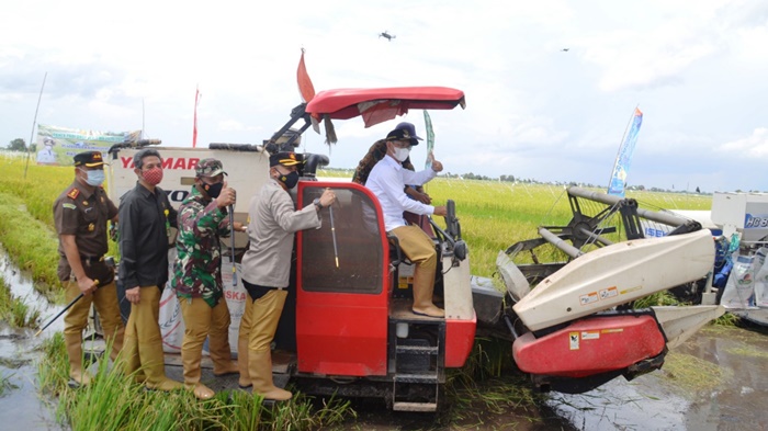 wakil-batola-h-rahmadian-noor-mengendarai-combine-harvester-di-desa-beringin-jaya-24022021.jpg