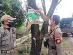Anggota-Satpol-PP-Kabupaten-Balangan-menertibkan-baliho-yang-terpasang-di-pohon.jpg
