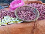 Bawang-Merah-Bawang-menjadi-kebutuhan-pokok-yang-diperlukan-sebagai-pelengkap.jpg
