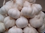 Bawang-Putih.jpg