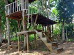 Beginilah-kondisi-rumah-pohon-di-Hutan-Kota-Pelaihari-yang-mulai-reyot.jpg