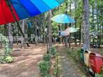 HUTAN-PINUS-DI-Kelurahan-Mentaos-BJB.jpg
