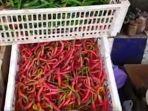 Harga-cabai-melambung-pedagang-kuliner-atur-siasat.jpg