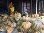 Hasil-panen-bah-waluh-dari-Desa-Samuda-Kecamatan-Daha-Utara.jpg
