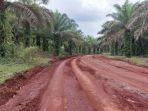 INILAHjalan-kebun-sawit-PTPN-menuju-Desa-Tebing-Siring.jpg