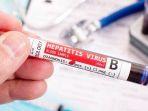 Ilustrasi-Hepatitis-B-senin-20112023.jpg