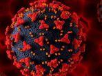 Ilustrasi-virus-corona-varian-baru.jpg