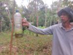 Inilah-perangkap-lalat-buah-yang-terbuat-dari-botol-bekas-air-mineral.jpg