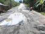 JALAN-BERLUBANG-Kondisi-jalan-berlubang-di-Desa-Karang-Sari-Ke1.jpg
