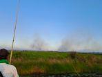 Kabut-asap-akibat-lahan-tidur-yang-terbakar-di-perbatasan-Batola.jpg