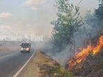 Karhutla-di-tepi-Jalan-Trans-Kalimantan-Desa-Jilatan-Kabupaten-Tala-kalsel-28092023.jpg