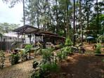 Masuk-Hutan-Pinus-Banjarbaru-Gratis-Harga-Sewa-Fasilitas-Terjangkau1.jpg