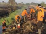 BPBD Catat 395 Kejadian Karhutla di Kalsel, Api Hanguskan  915,94 hektare Lahan