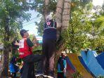 PMI-Tala-membersihkan-pepohonan-dari-lilitan-tali-lampu-hias-dan-paku-paku.jpg