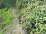PRAJURIT-TNI-GUGUR-Kontak-tembak-antara-Satgas-Damai-Cartenz-sd.jpg