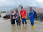 Paus-sperma-seberat-40-ton-yang-terdampar-di-perairan-Balikpapan-11.jpg