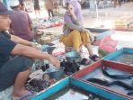 Pedagang-ikan-yang-menyediakan-jenis-ikan-haruan-hanya-terbatas.jpg