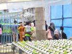 Pengunjung-antusias-belajar-menanam-surat-sistem-hidroponik-diajarkan-WBP.jpg