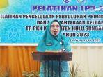 Penjabat-Ketua-TP-PKK-Kabupaten-Hulu-Sungai-Selatan-Rusnawati-Hermansyah-Jumat-24112023.jpg