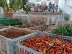 Penjualan-cabai-Adapun-harga-cabai-kembali-normal-ini-karena-kesediaan-pasokan-lancar.jpg