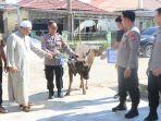 Penyerahan-sapi-kurban-oleh-Kapolres-Balangan-AKBP-Yulianor-Abdi-kepada-Ponpes-Riyadhul-Muhibin.jpg