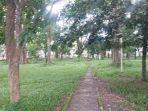 Pepohon-lindung-yang-tumbuh-di-kawasan-lahan-Mesjid-Raya-Sabilal-Muhtadinin.jpg