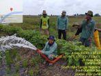 Petani-di-Desa-Baru-manfaatkan-pompa-air.jpg