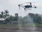 Petani-di-Mojokerto-menggunakan-drone-sebagai-alat-untuk-menyiram.jpg