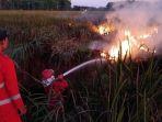 Petugas-Daops-Manggala-Agni-Kalimantan-VITanah-Laut.jpg