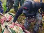 Pimpinan-Tentara-Organisasi-Papua-Merdeka-Bumi-Walo-Enumbi-tewas-ditembak.jpg