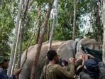 Proses-pemasangan-GPS-collar-pada-gajah-sumatera-liar.jpg