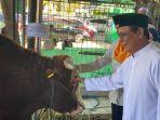 Sapi-bantuan-Presiden-Jokowi-dengan-bobot-lebih-830-kilogram-jenis-Simental.jpg