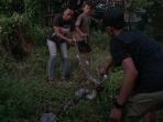 Tim-ERP-Divisi-Animal-Rescue-saat-mengevakuasi-dan-menukur-ular1.jpg
