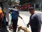 Tim-Rescue-Damkar-Kota-Palangkaraya-membantu-anjing-pembohong-di-Jalan-RA-Kartini1.jpg