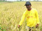 Tugimin-menunjukkan-pertaniannya-yang-siap-panen1.jpg